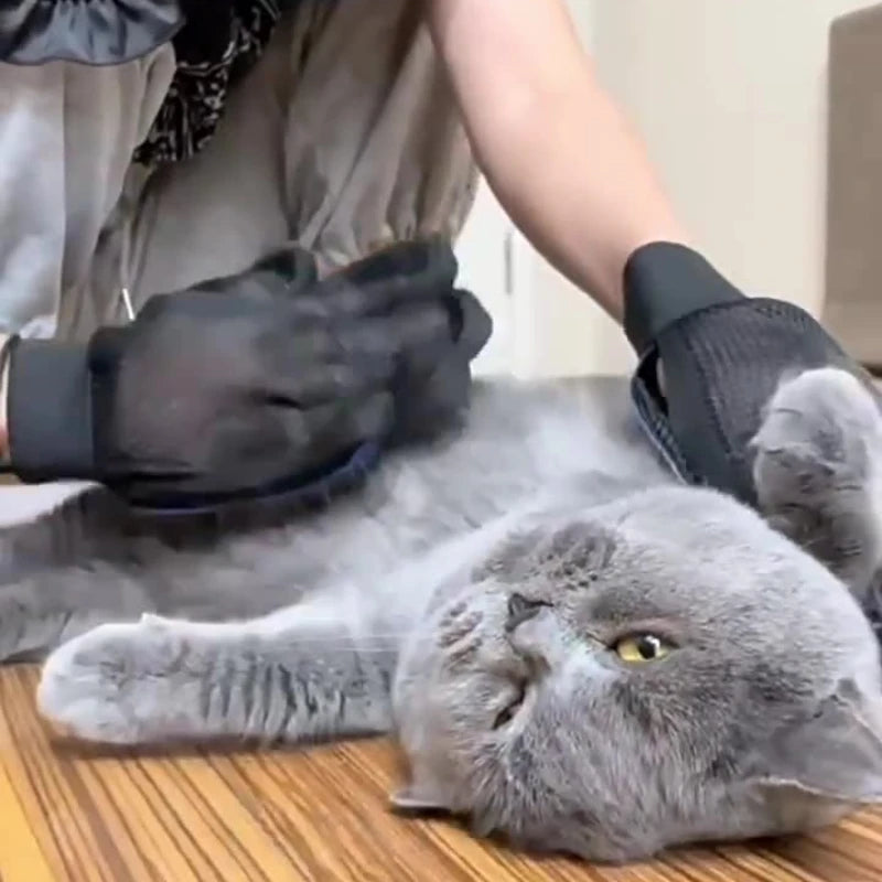 Silicone Gloves Cat Hair Brush and Removal, with Breathable Mesh - The Serene Cat