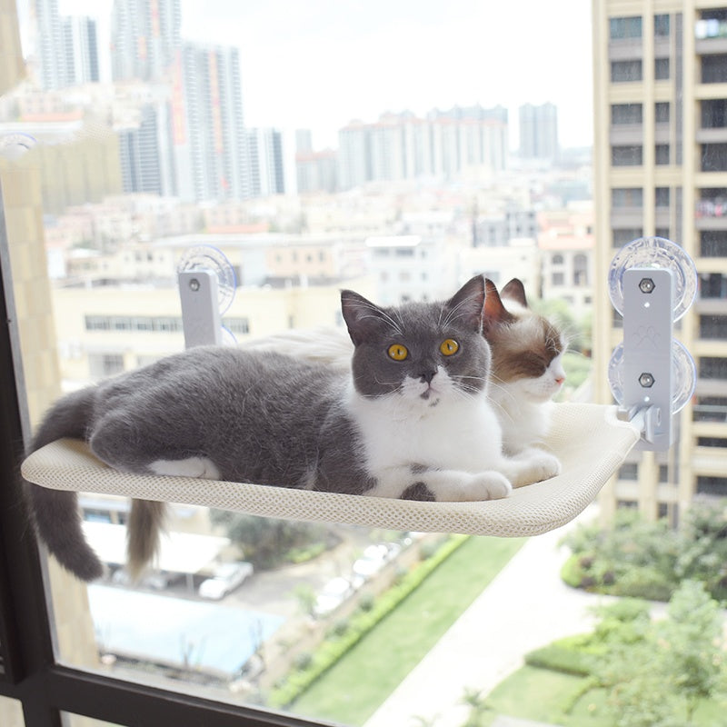 Window Glass Hammock for Observing Apartment Cats - The Serene Cat