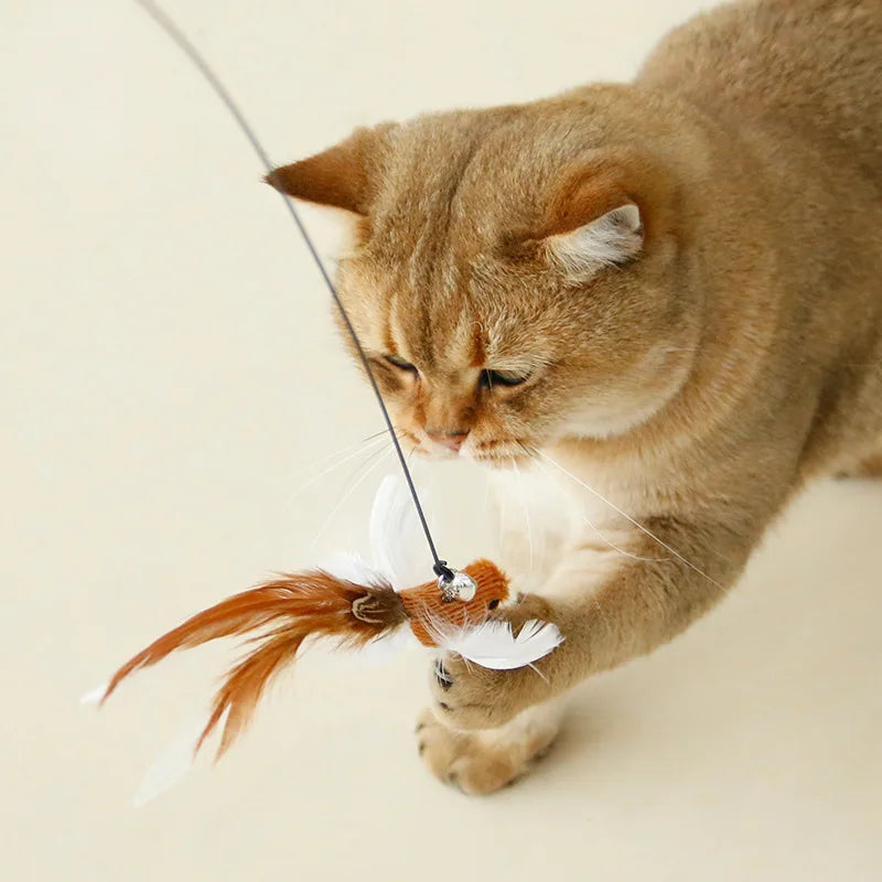 Feather toys, bird imitations on moving sticks - The Serene Cat