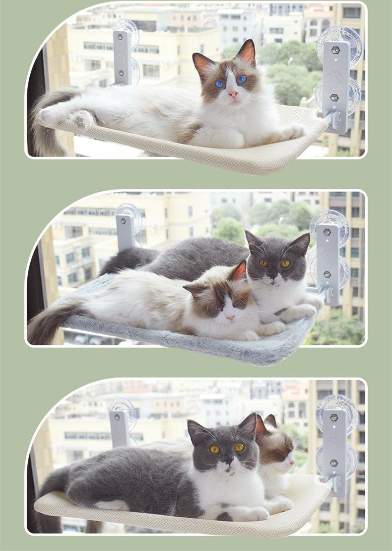 Window Glass Hammock for Observing Apartment Cats - The Serene Cat