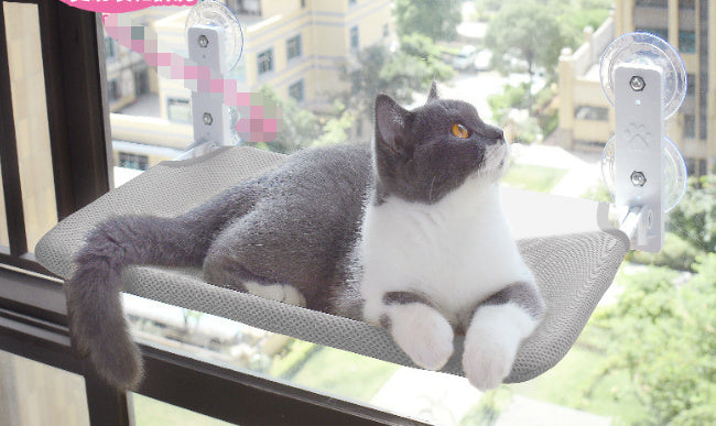 Window Glass Hammock for Observing Apartment Cats - The Serene Cat